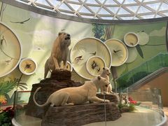 -陕西自然博物馆