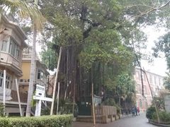 -赵小姐的店(鼓浪屿三友店)