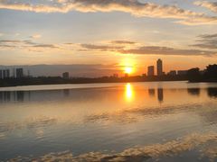-海珠湖公园