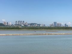 -麦当劳(新濠影汇店)