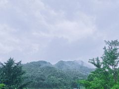 -听风阁农家私房菜茶楼(龙坞店)