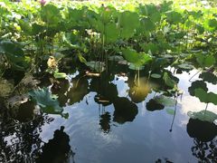 -韶山毛泽东同志故居