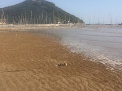 -小皓村