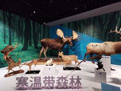 -中国湿地博物馆