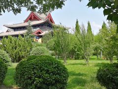 景点-大槐树寻根祭祖园