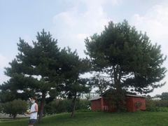 -石家庄市植物园