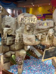 -卡通尼·Safari非洲探索乐园·生日会(金桥国际商业广场店)