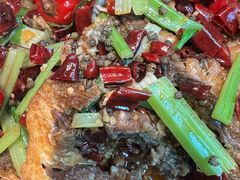 -老板恋上鱼(恒隆广场店)