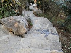 -花洲书院