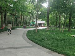 -莲湖公园