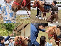 -云栖山谷野奢营地