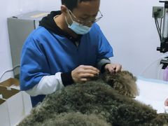 -灵美宠物诊所