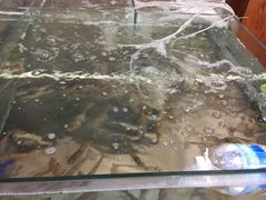 -芽庄老成都川菜馆