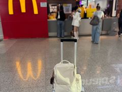 -麦当劳(桃仙机场到达层店)