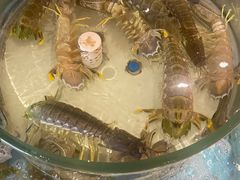-强记海鲜·大排档(蛇口新街店)