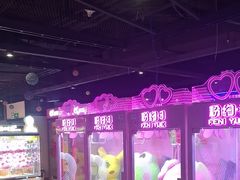 -奇奇乐园(上海仲盛世界商城店)