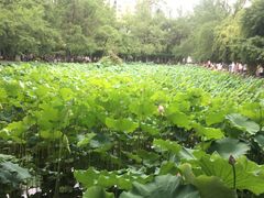 -四川大学(华西校区)