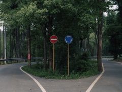 -青龙山国家森林公园