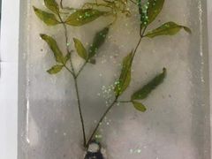 -竞思注意力·专注力·学习能力训练(天一广场中心)