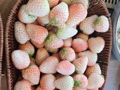 -松野谷·寿喜烧自助(华联顺义金街购物中心店)