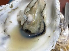 -千岛蚝高压锅生蚝·人参火锅(白云万达店)