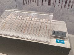 -长沙简牍博物馆