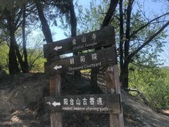 -阳台山自然风景区