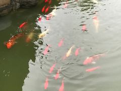 -南北湖湖光山居度假酒店