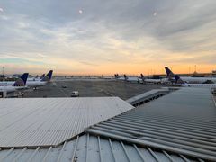 -纽瓦克自由国际机场