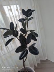 -HEYAN荷妍专业脱毛连锁机构