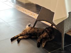 -EATALIA意塔利意式餐厅(鼓楼店)