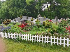 -上海共青森林公园