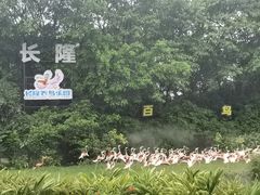 -广州长隆飞鸟乐园