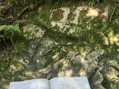 -十八棵（老龙井）御茶园(老龙井店)