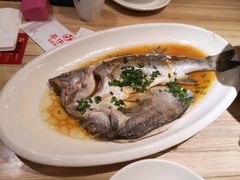 广式蒸海鲈鱼-盛福楼·惠山宴(盛岸路店)