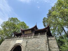 -桂湖森林公园