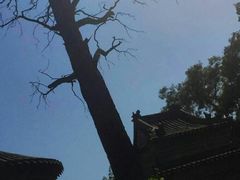 -河南大学(龙子湖校区)