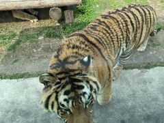 -西安秦岭野生动物园