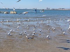 -老虎石海上公园