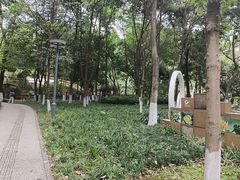 -成都市活水公园
