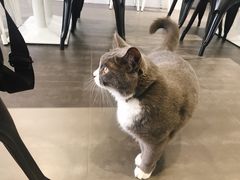 -乐果甜心·潮汕冰室(南澳后宅分店)