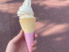 -柳湖沙月沙滩公园