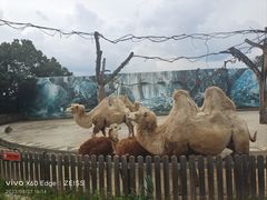 -云南野生动物园
