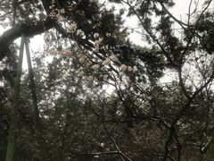 -普陀宗乘之庙(小布达拉宫)