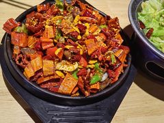 -蒙料·手把肉(望京店)