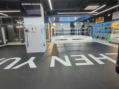 -臻元搏击格斗泰拳拳馆(港隆店)