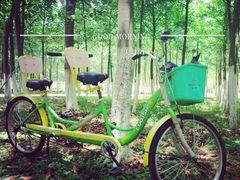 -艾溪湖湿地公园