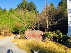 -四明山国家森林公园