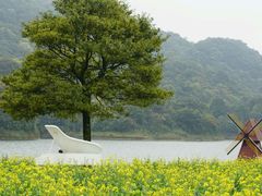 -广州市石门国家森林公园