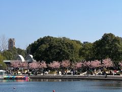 -新江湾城公园
